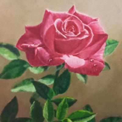 la rose acrylique